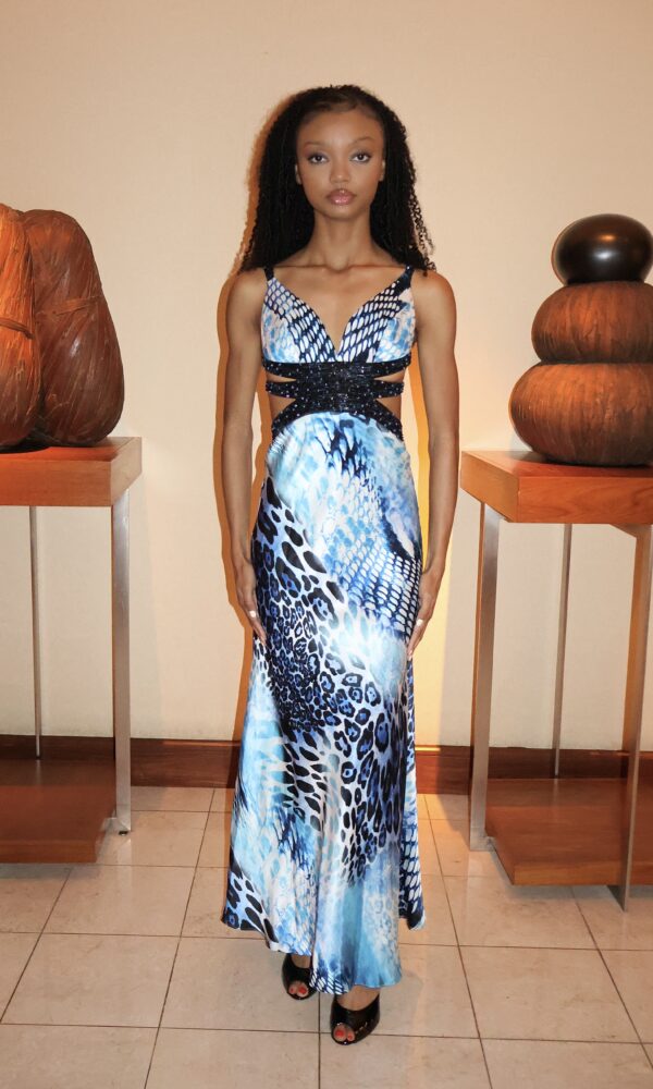 Serena Dress